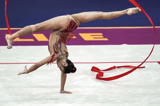 Художественная гимнастика. Чемпионат мира. Третий день