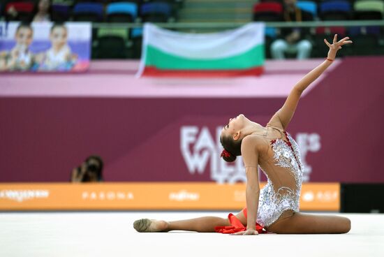 Художественная гимнастика. Чемпионат мира. Четвертый день