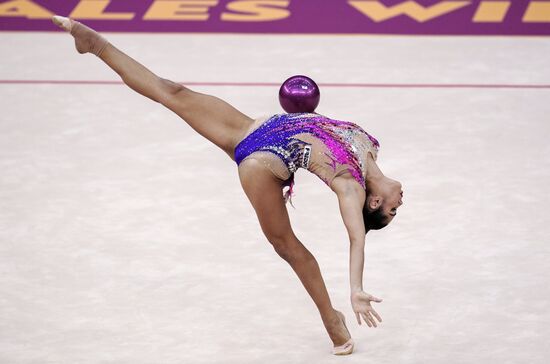 Художественная гимнастика. Чемпионат мира. Пятый день