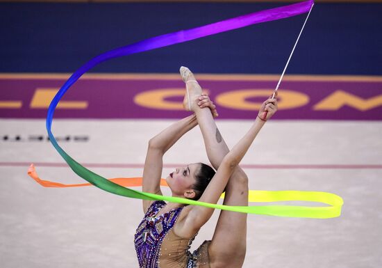 Художественная гимнастика. Чемпионат мира. Пятый день