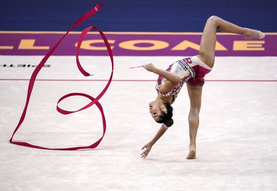 Художественная гимнастика. Чемпионат мира. Пятый день