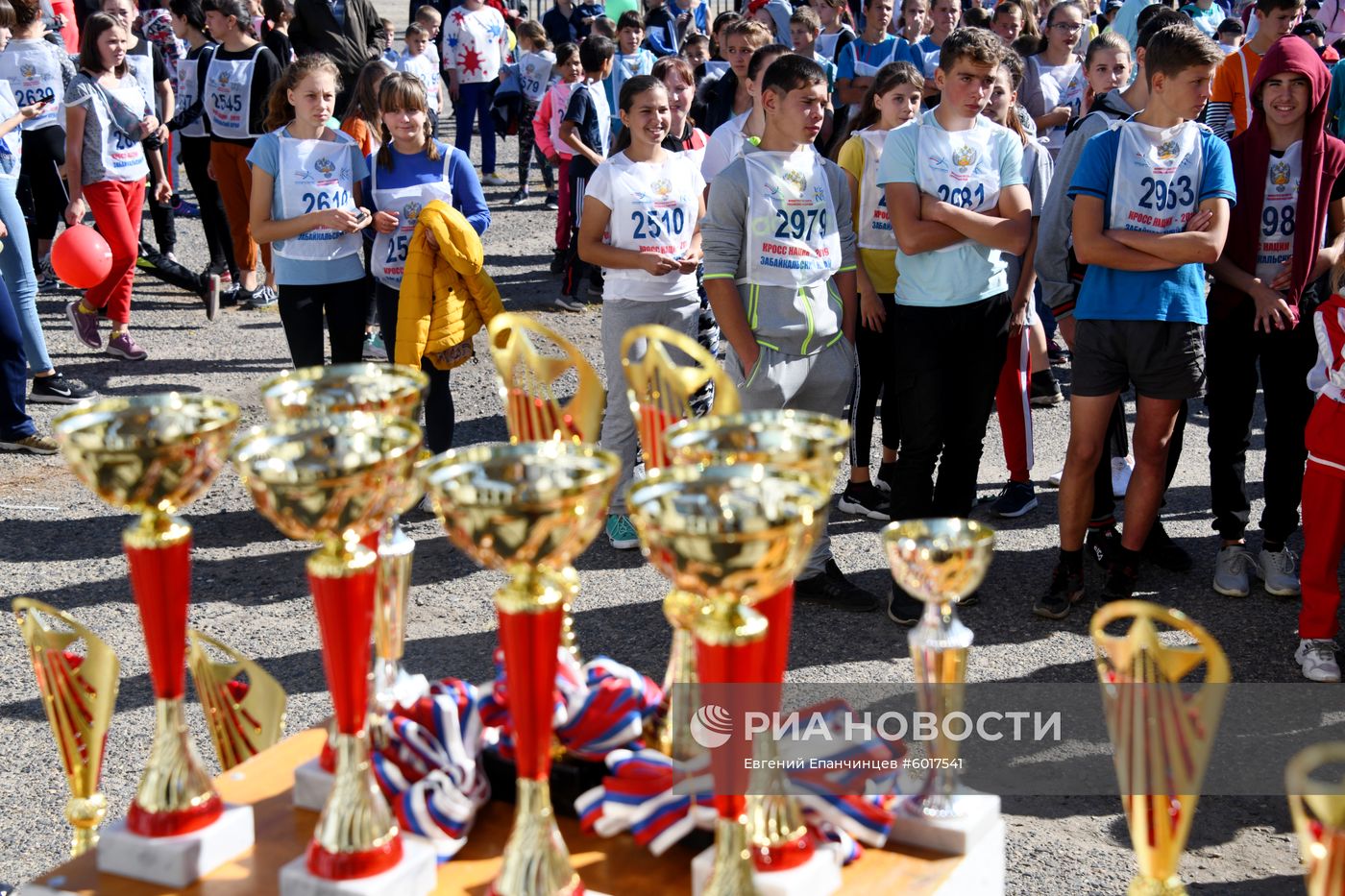 Кросс наций - 2019