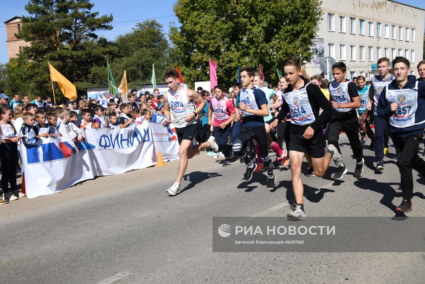Кросс наций - 2019