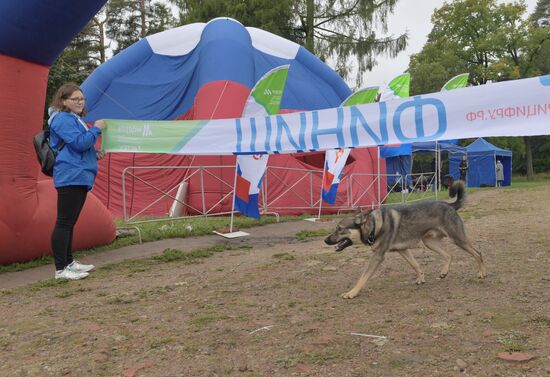 Кросс наций - 2019