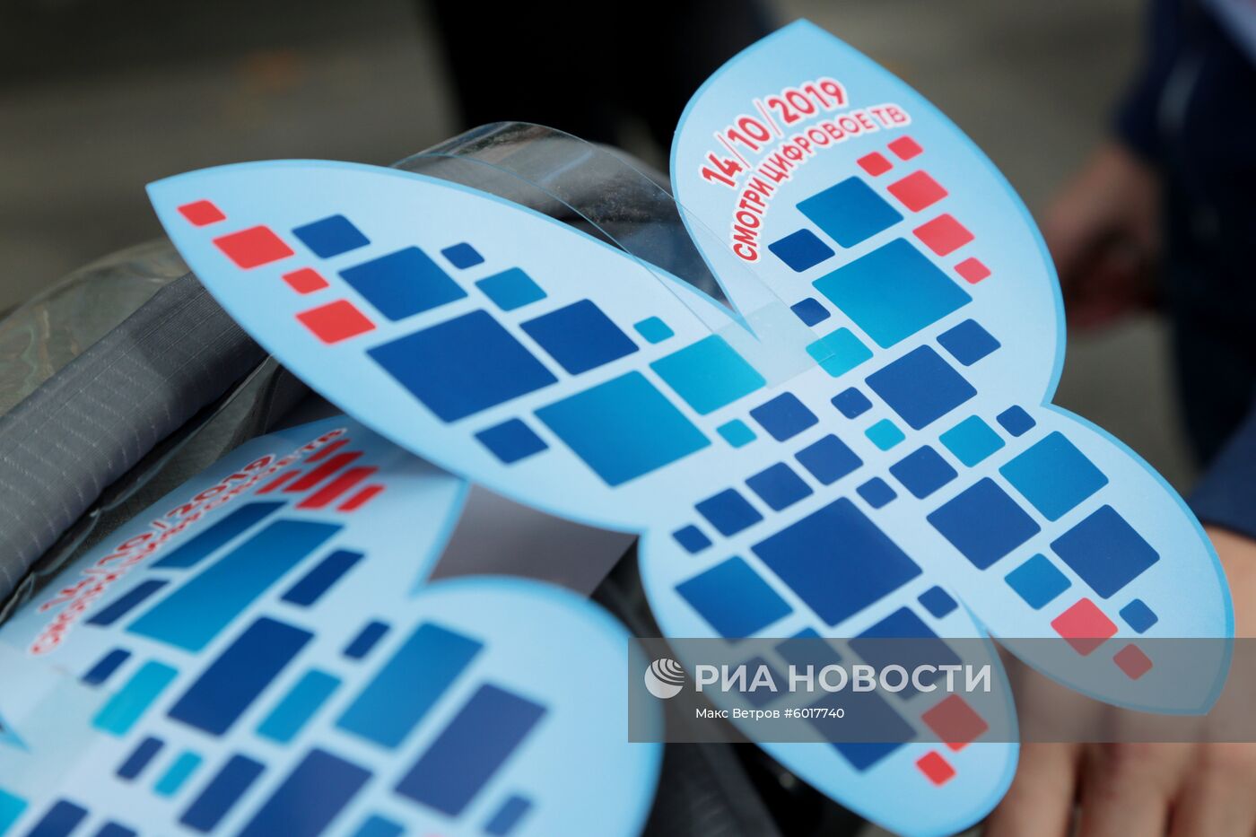 Кросс нации - 2019