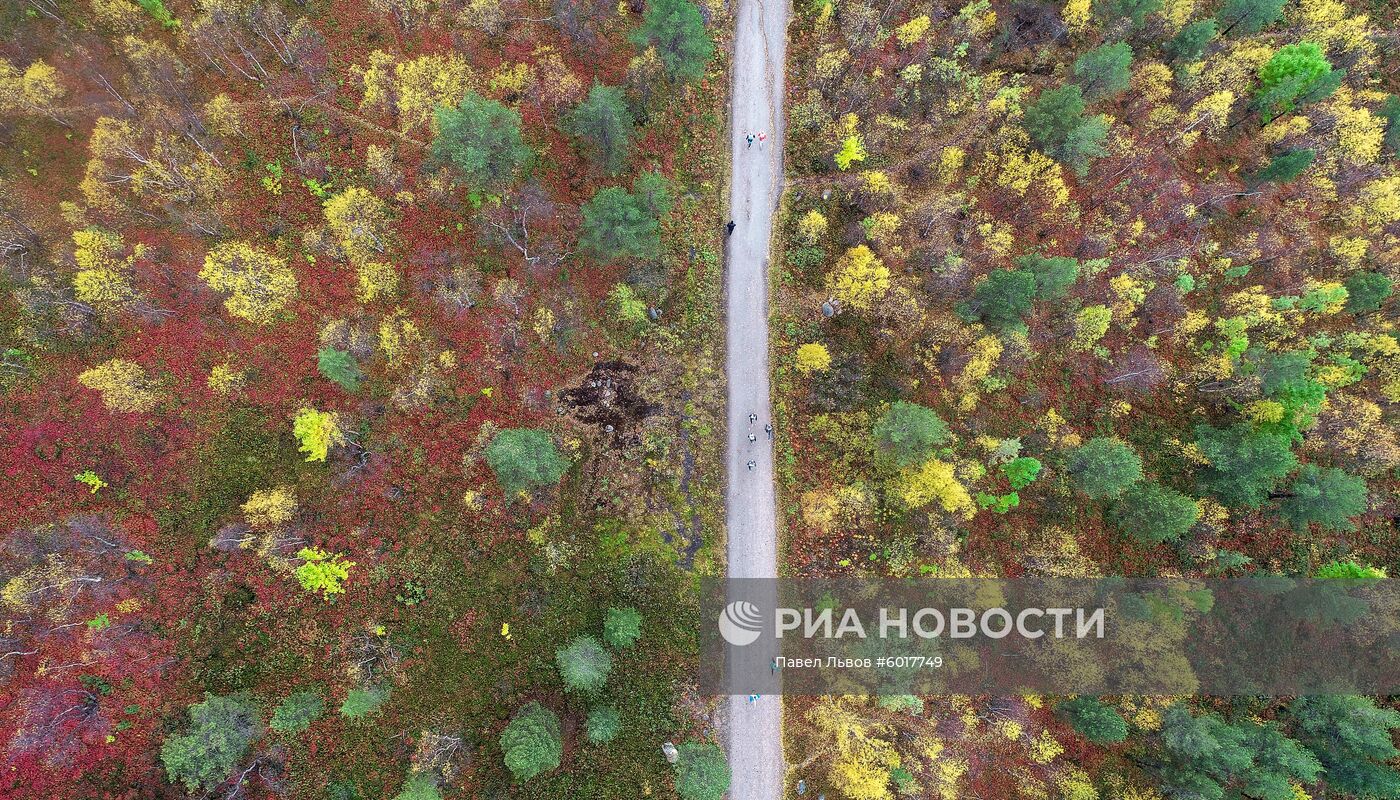 Кросс наций - 2019