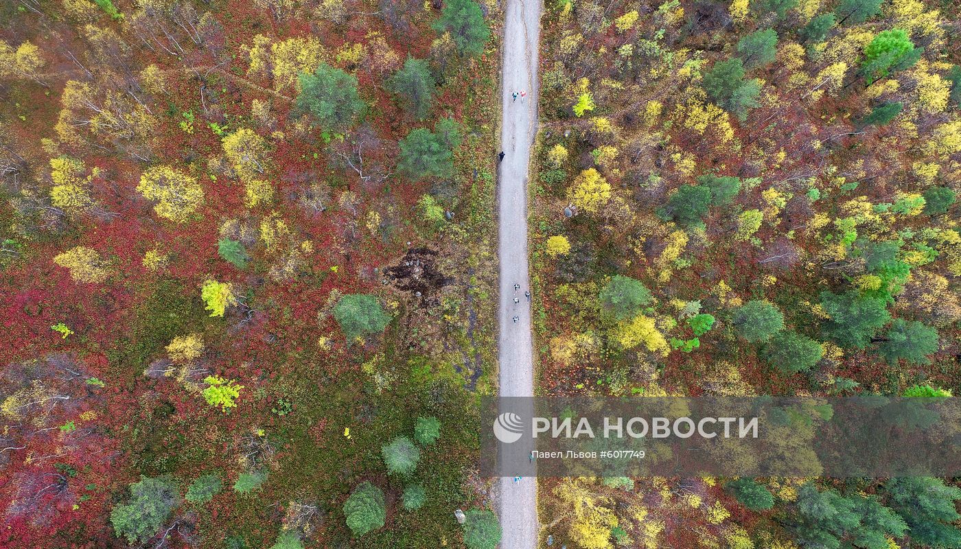 Кросс наций - 2019