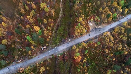 Кросс наций - 2019