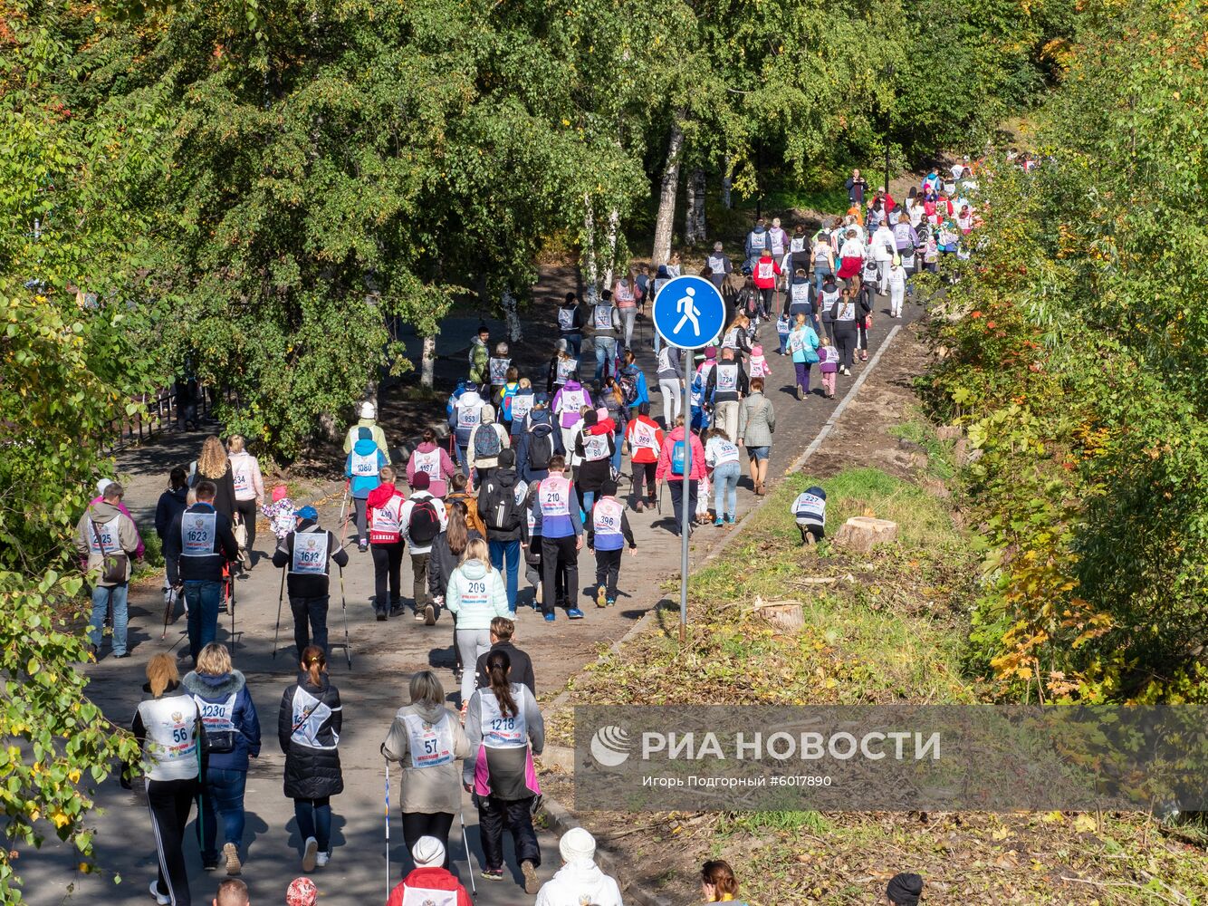 Кросс наций - 2019