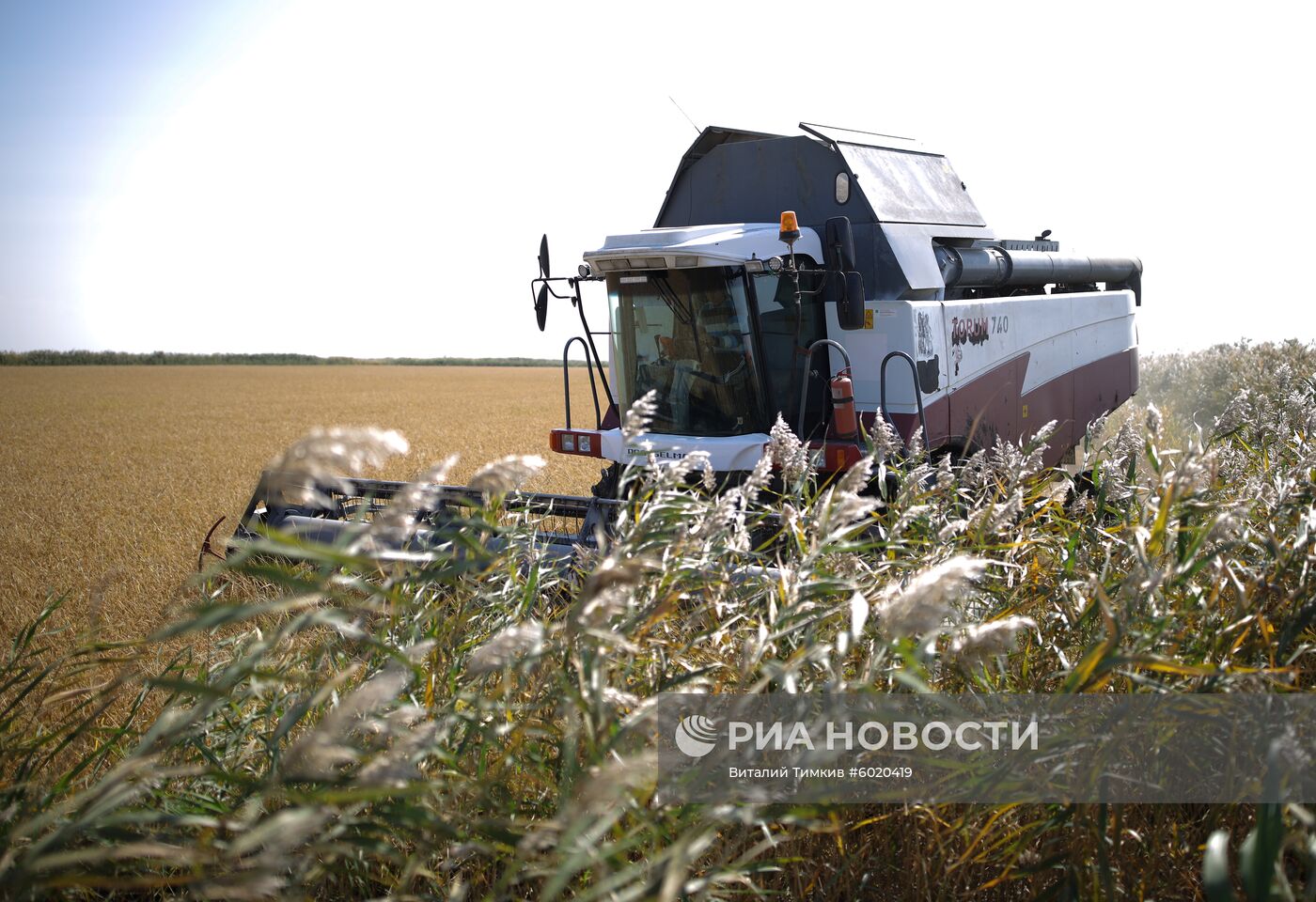 Уборка и переработка риса в Краснодарском крае