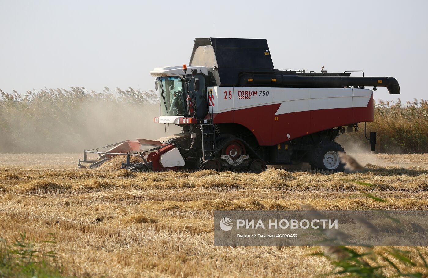 Уборка и переработка риса в Краснодарском крае