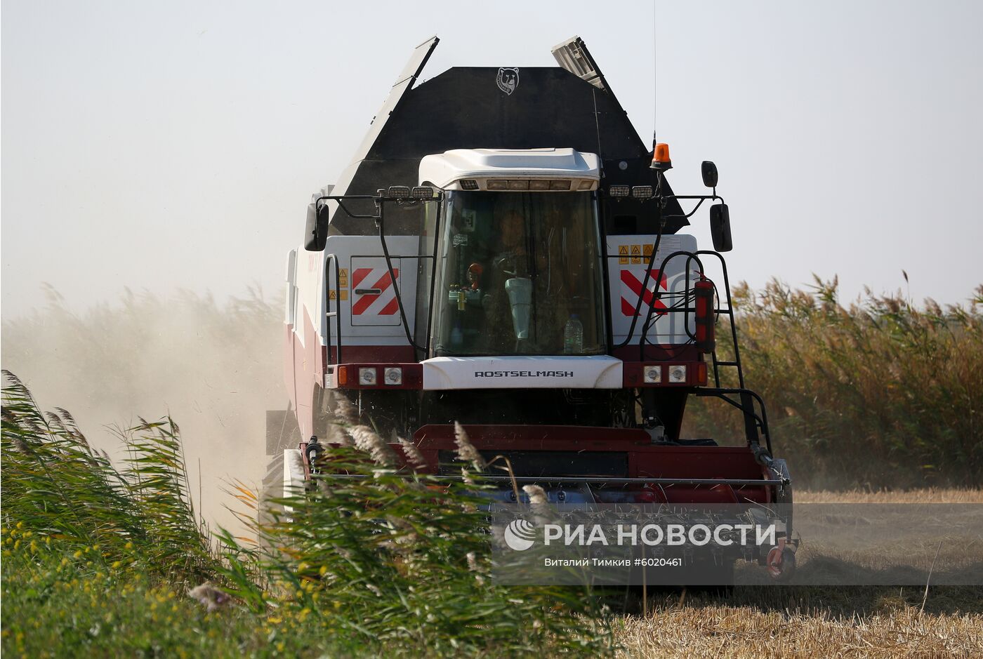 Уборка и переработка риса в Краснодарском крае