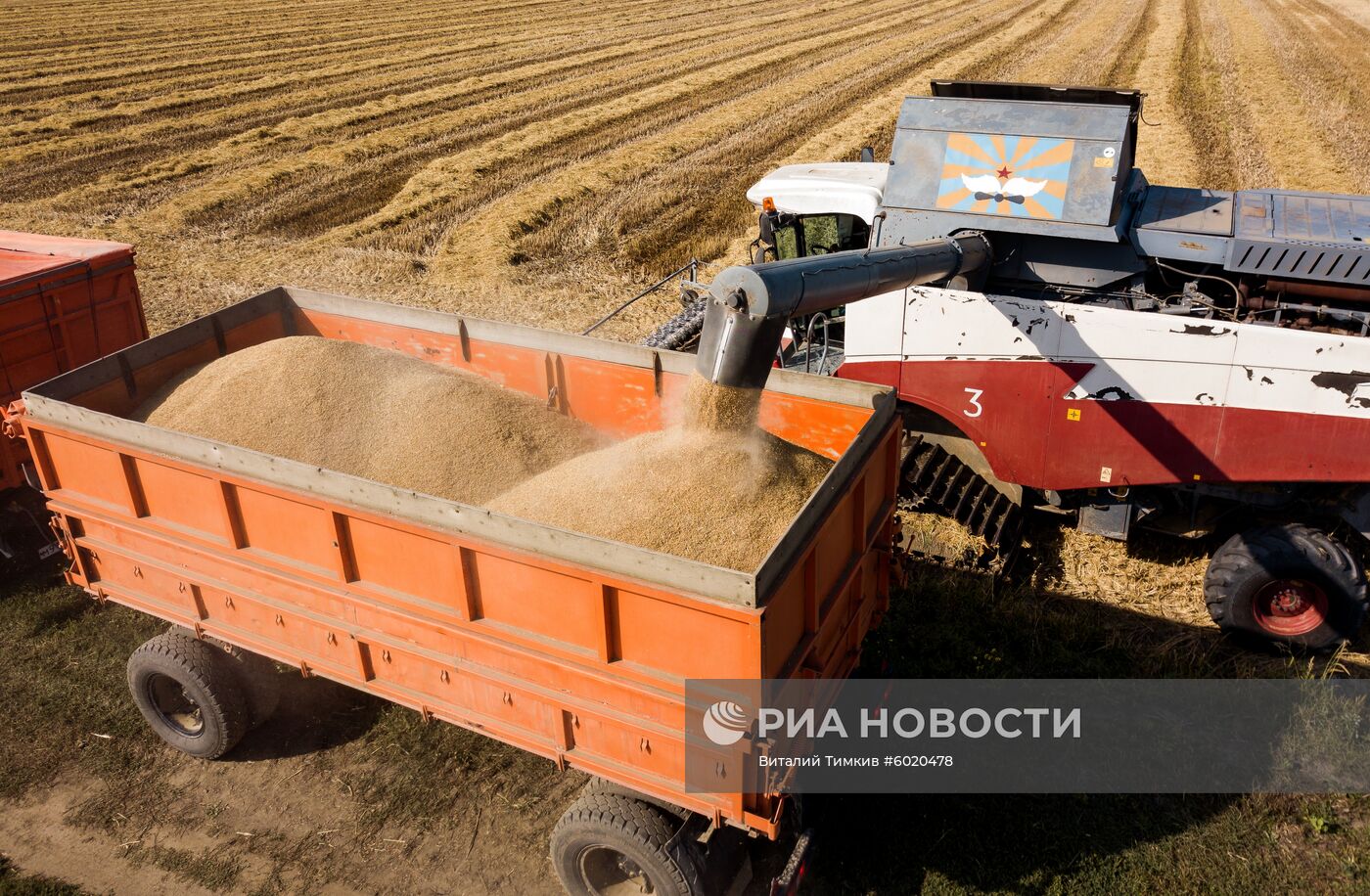 Уборка и переработка риса в Краснодарском крае