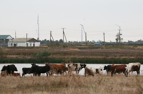 Строительство ветропарка в Адыгее