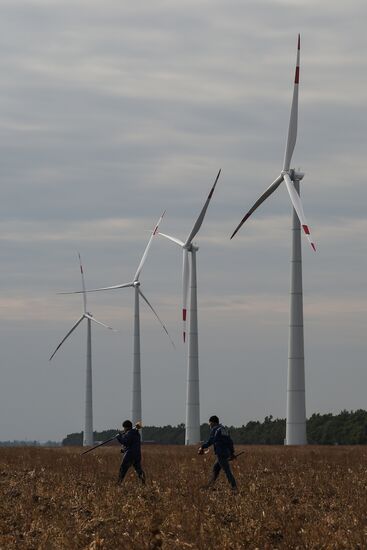 Строительство ветропарка в Адыгее