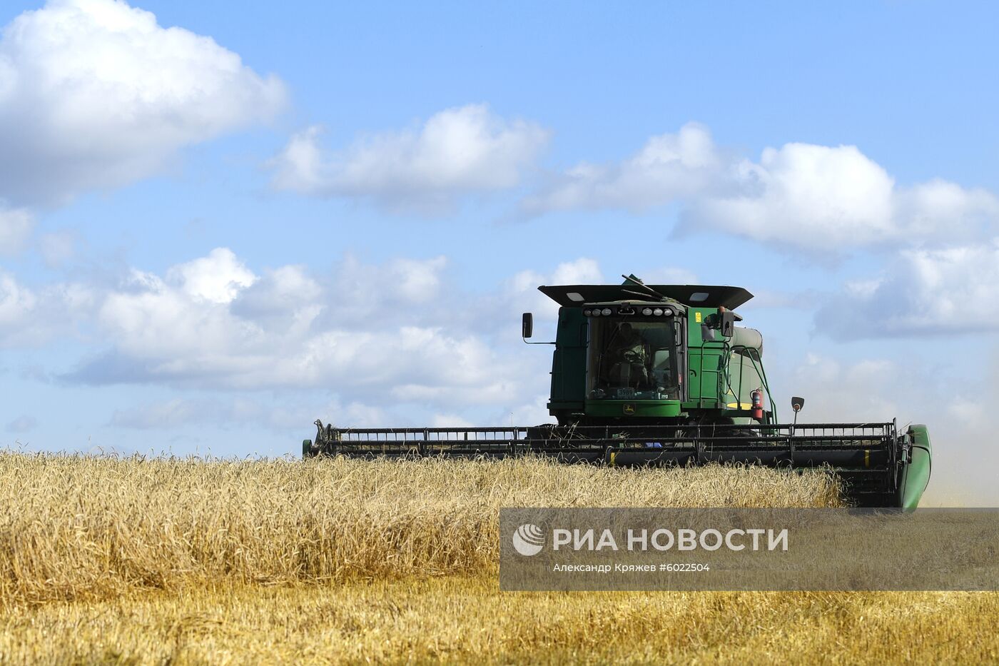 Уборка урожая зерновых в Новосибирской области