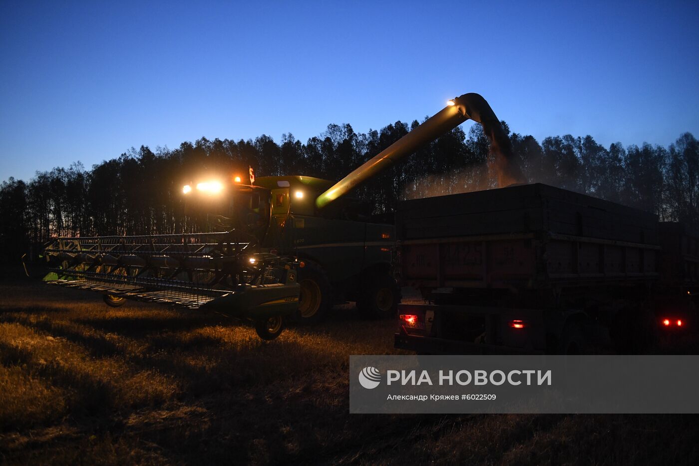 Уборка урожая зерновых в Новосибирской области