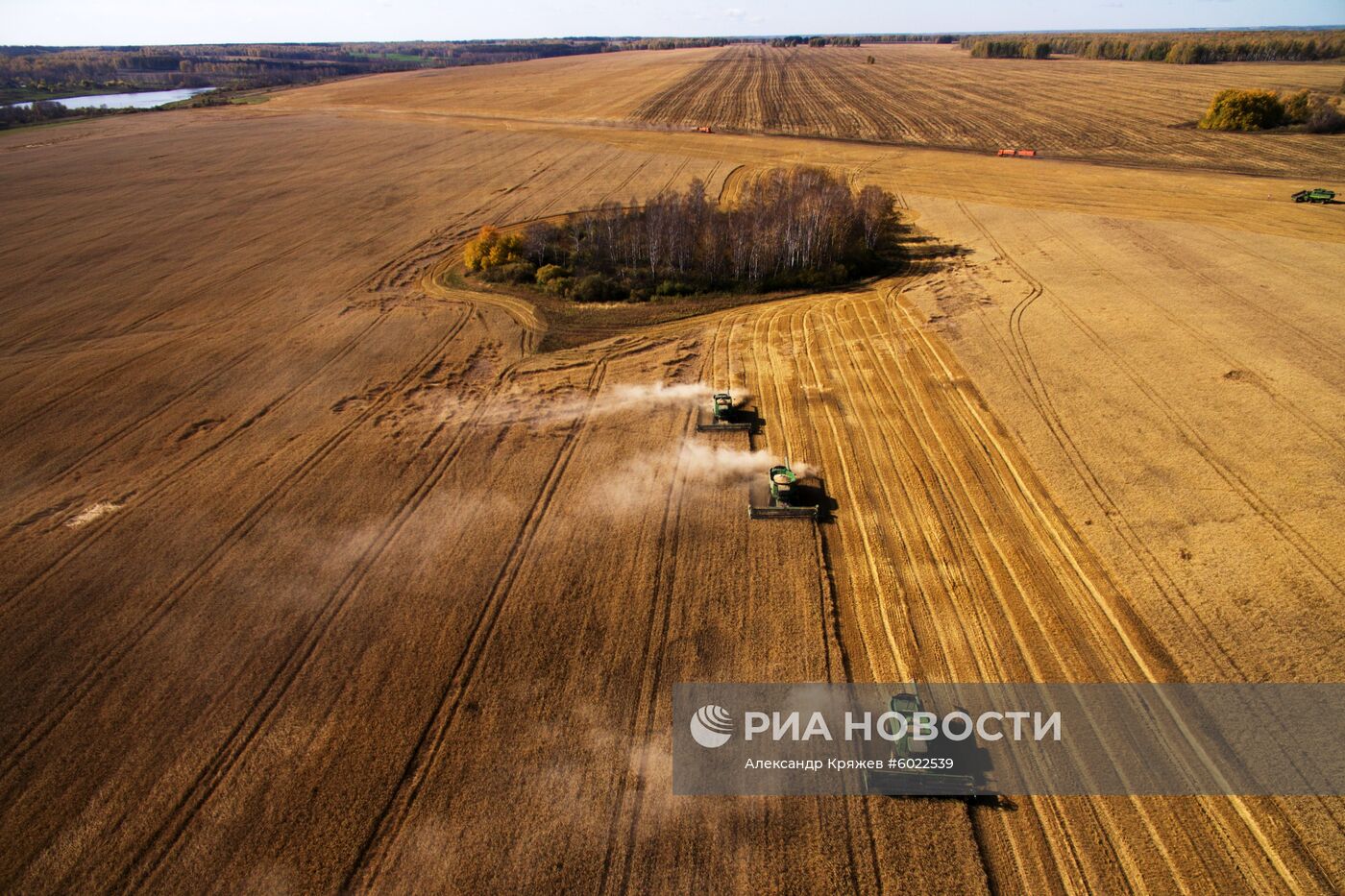 Уборка урожая зерновых в Новосибирской области