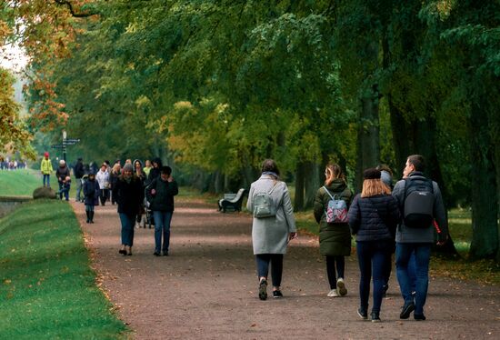 Осень в дворцово-парковом ансамбле "Ораниенбаум"
