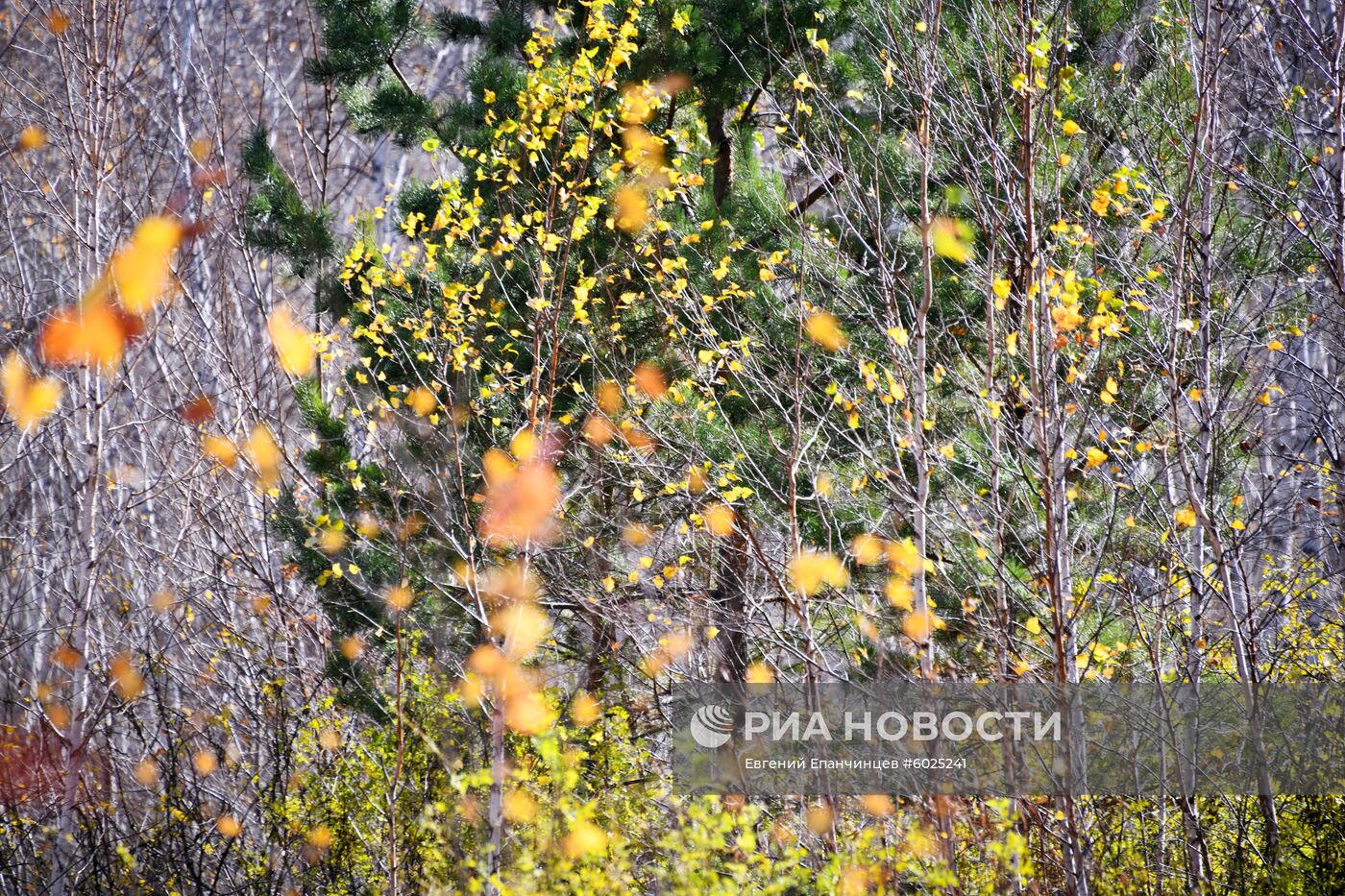 Осень в Забайкалье