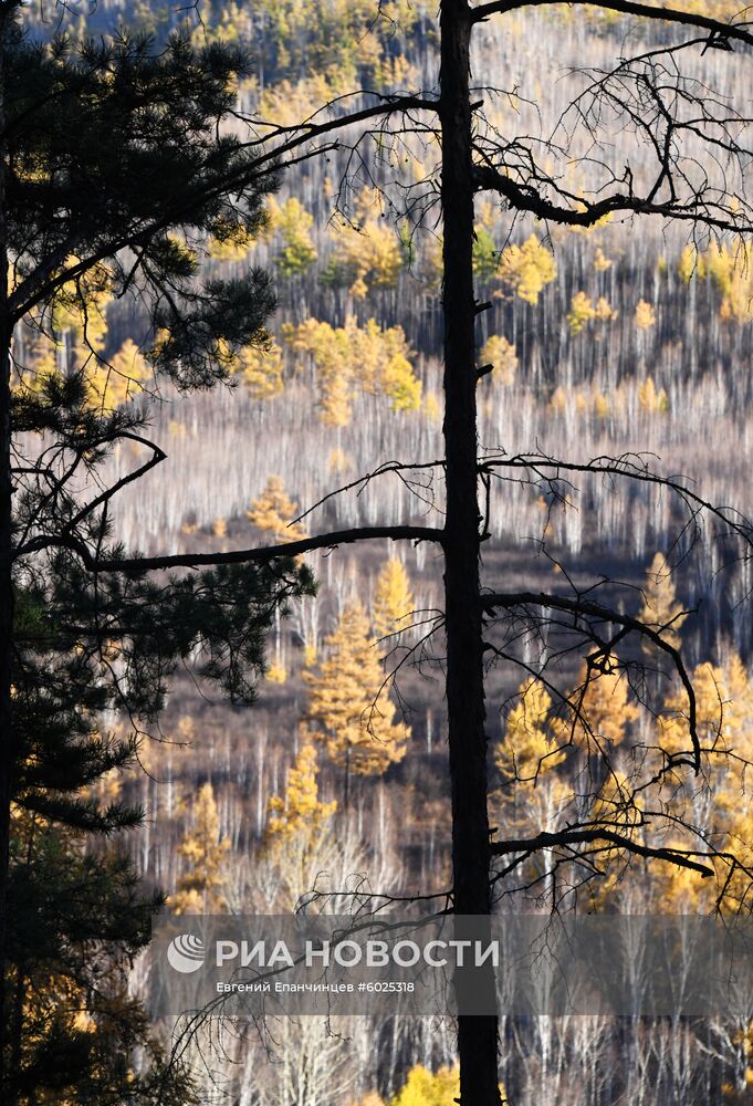 Осень в Забайкалье