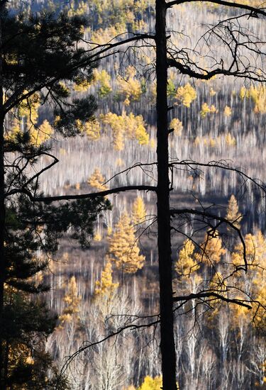 Осень в Забайкалье