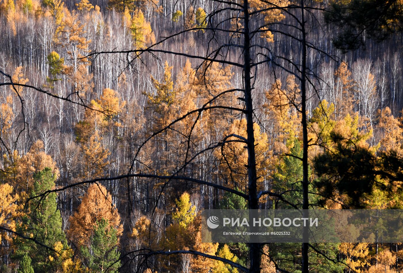 Осень в Забайкалье