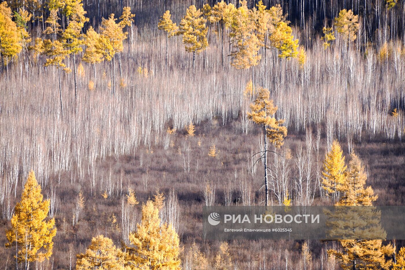 Осень в Забайкалье