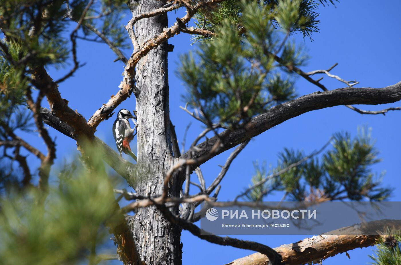 Осень в Забайкалье