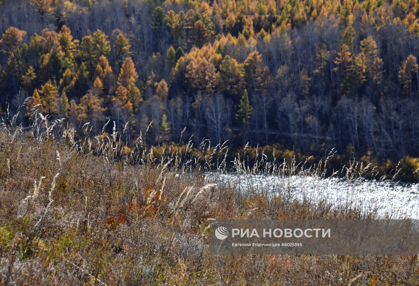 Осень в Забайкалье