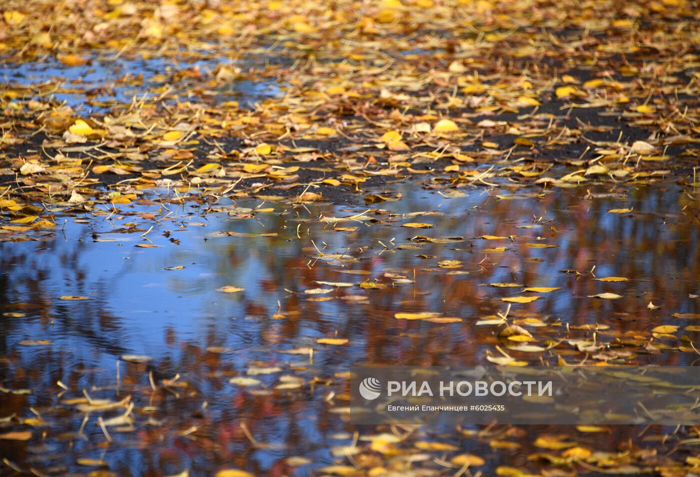 Осень в Забайкалье