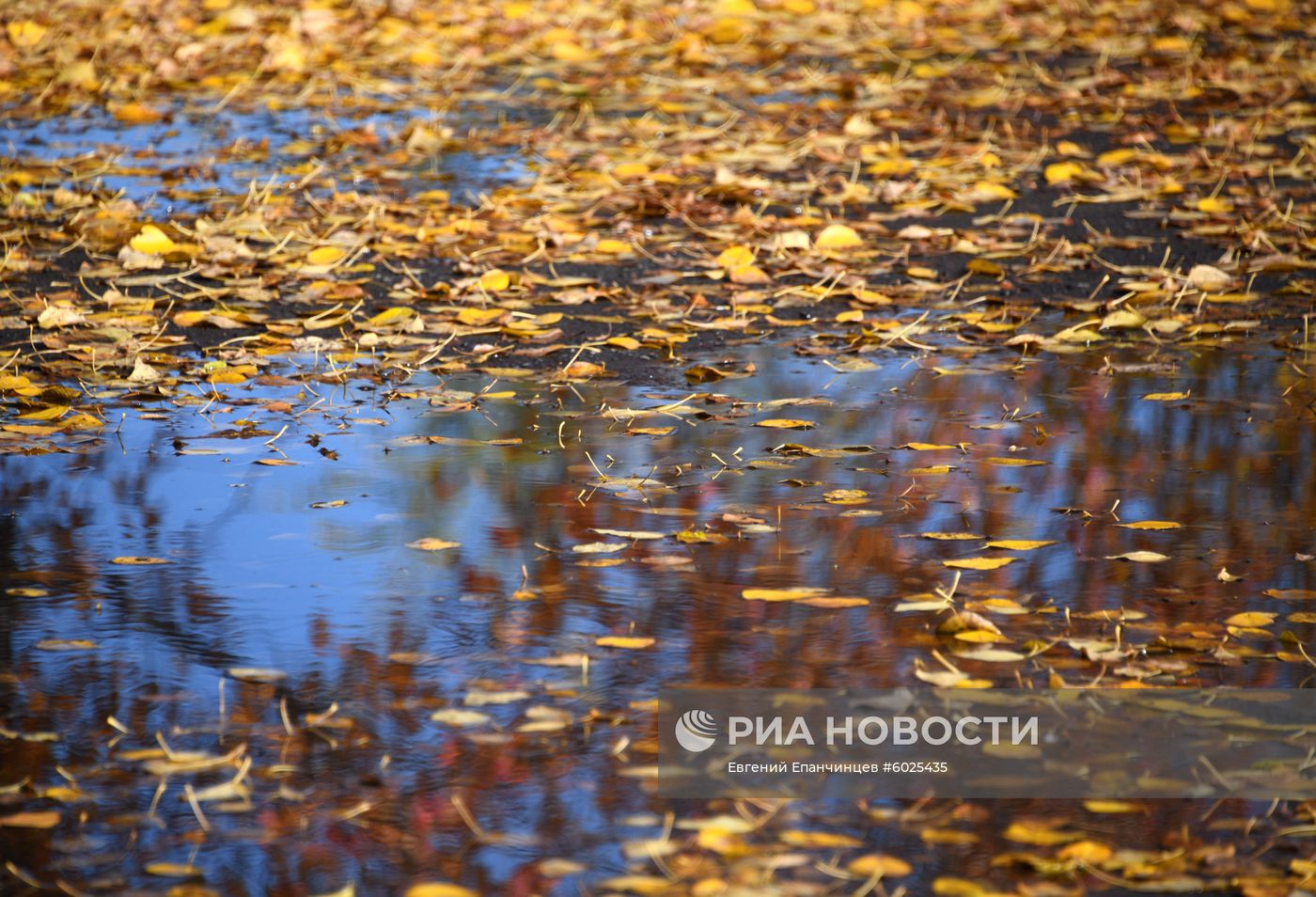 Осень в Забайкалье