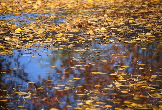Осень в Забайкалье