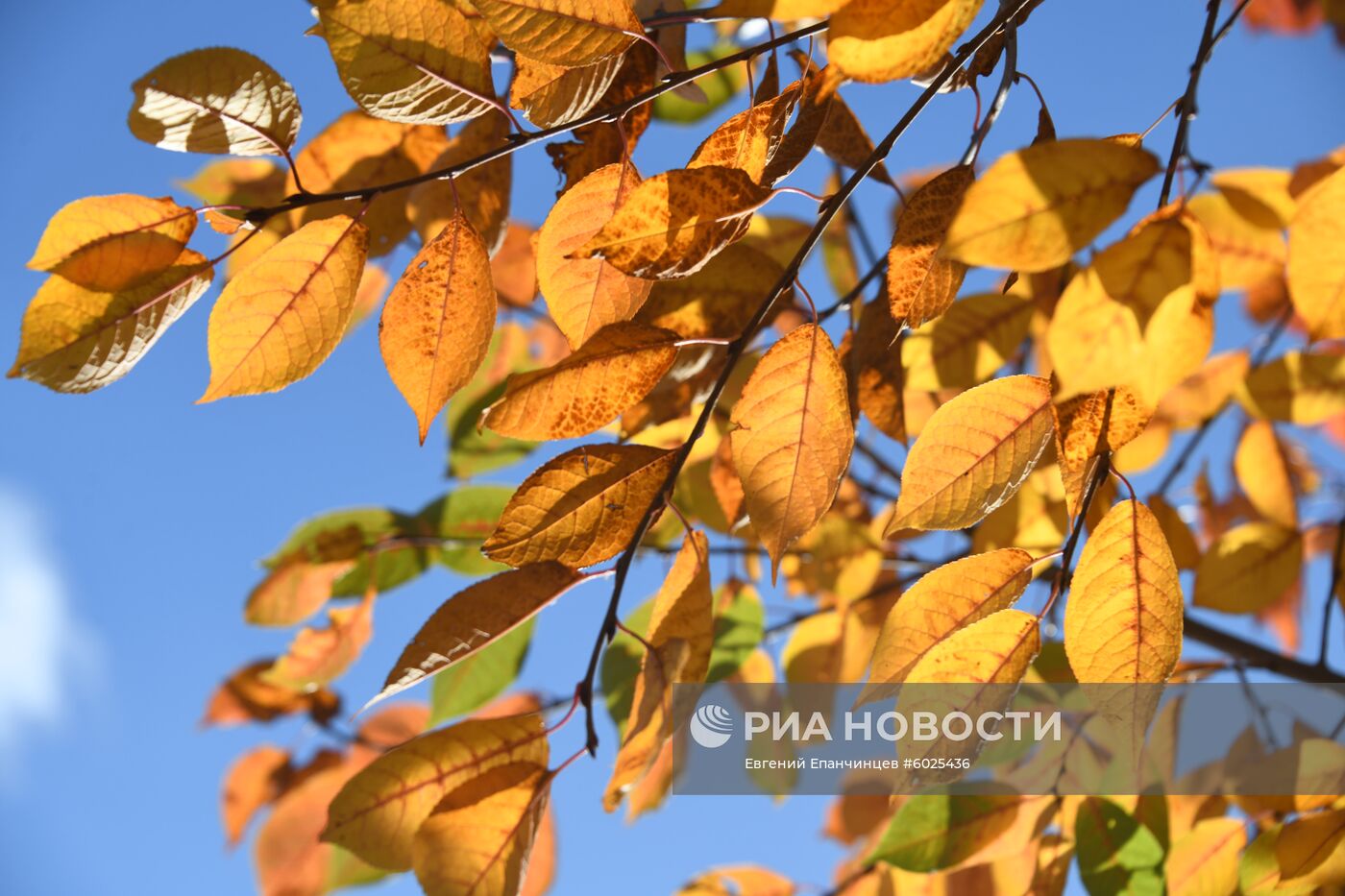 Осень в Забайкалье