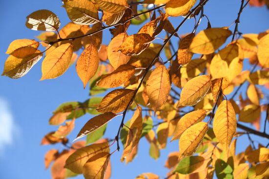 Осень в Забайкалье