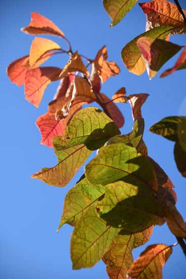 Осень в Забайкалье