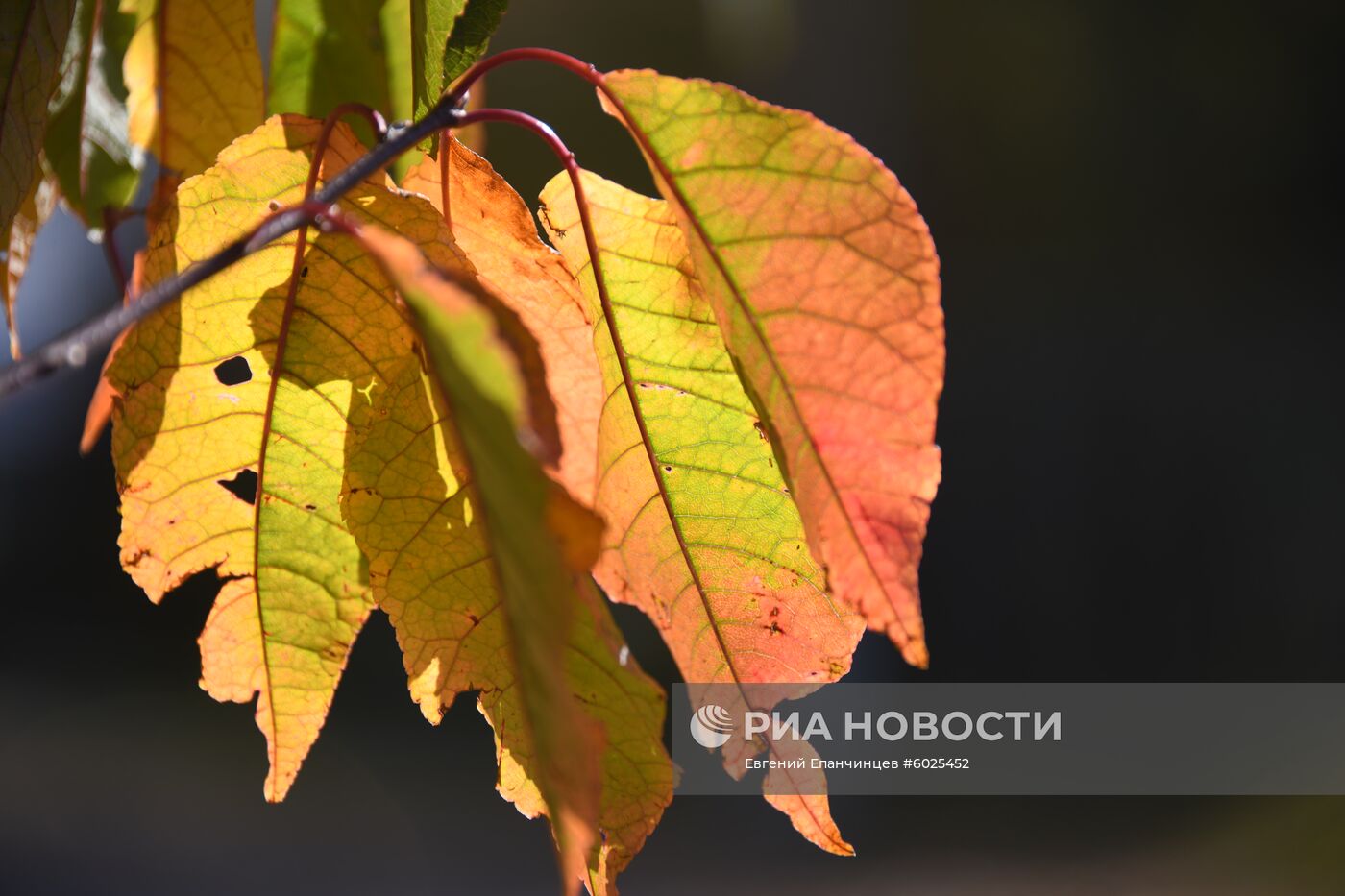 Осень в Забайкалье