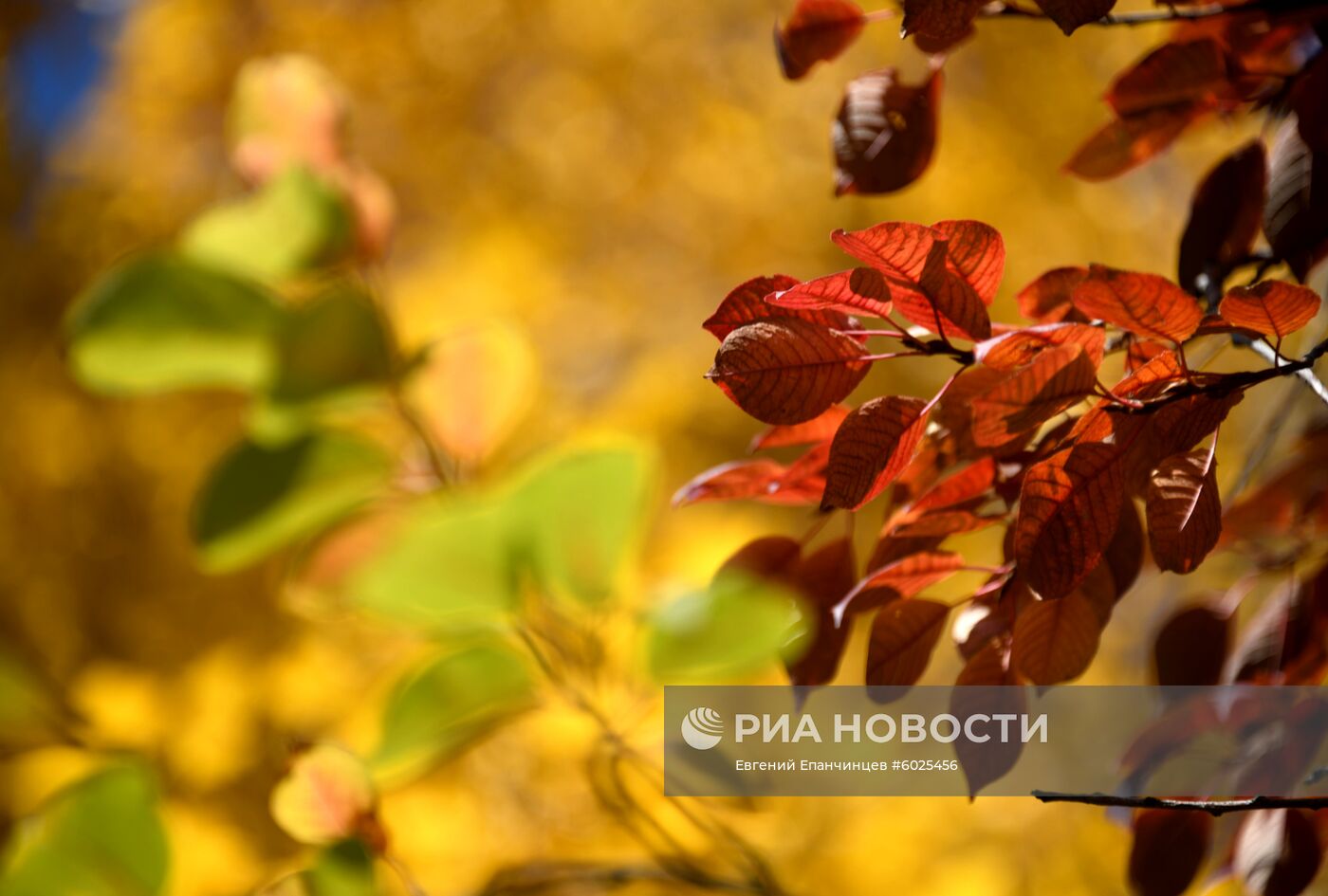 Осень в Забайкалье