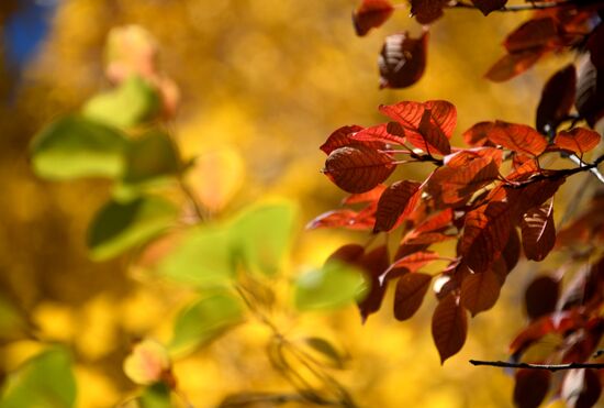 Осень в Забайкалье
