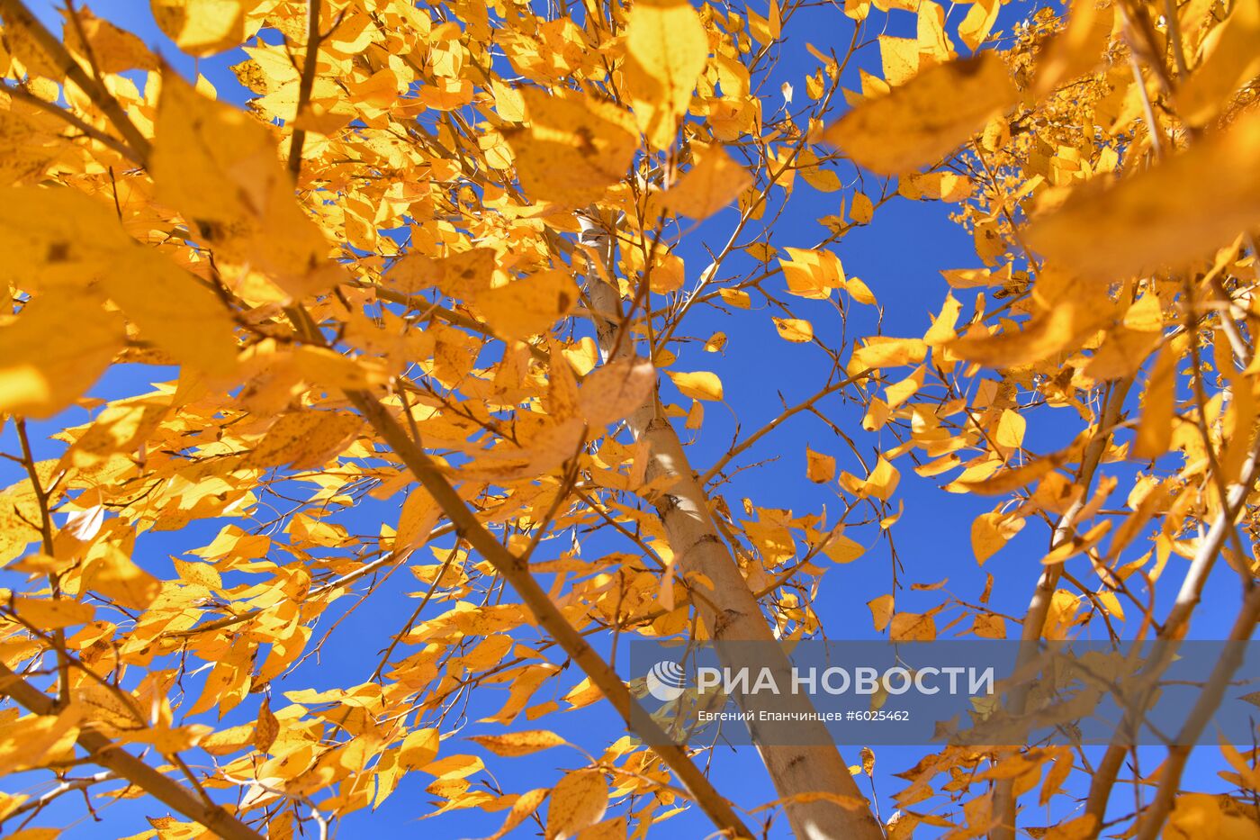 Осень в Забайкалье