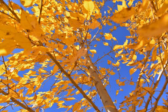 Осень в Забайкалье