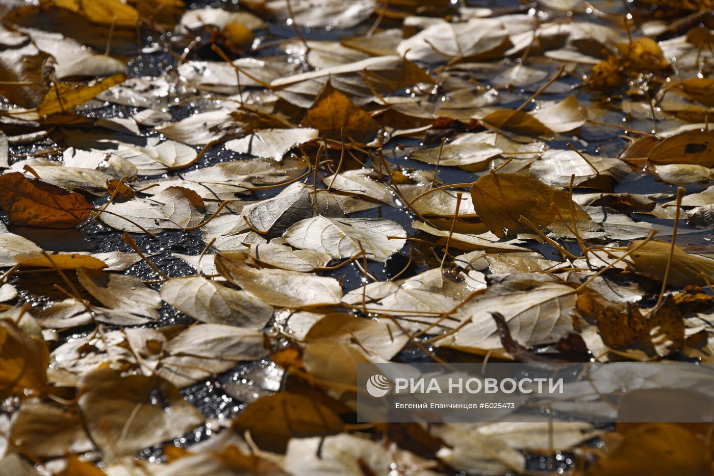 Осень в Забайкалье