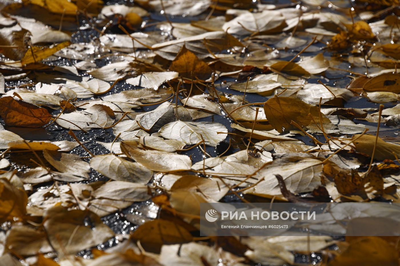 Осень в Забайкалье