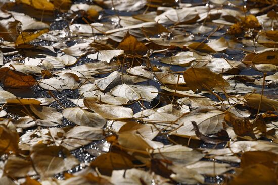 Осень в Забайкалье