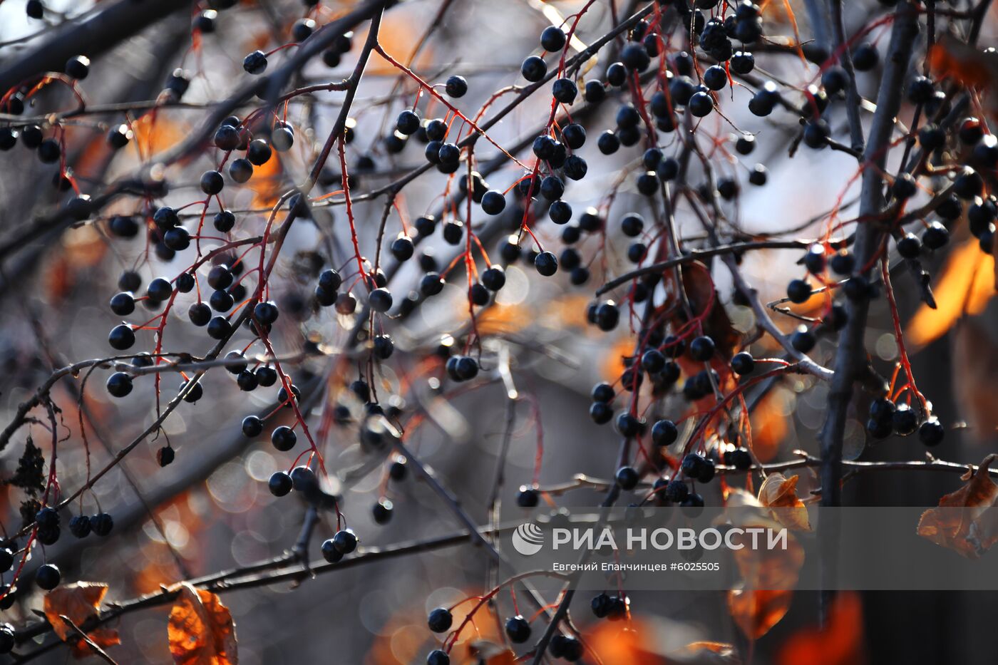 Осень в Забайкалье