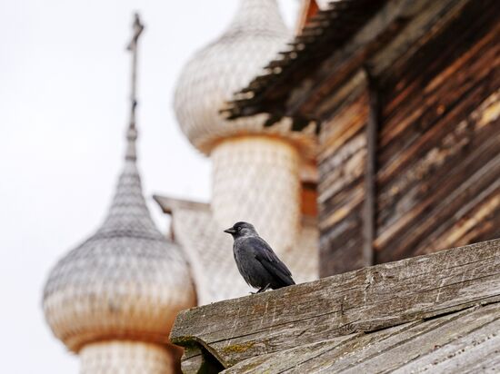 Музей-заповедник "Кижи" 