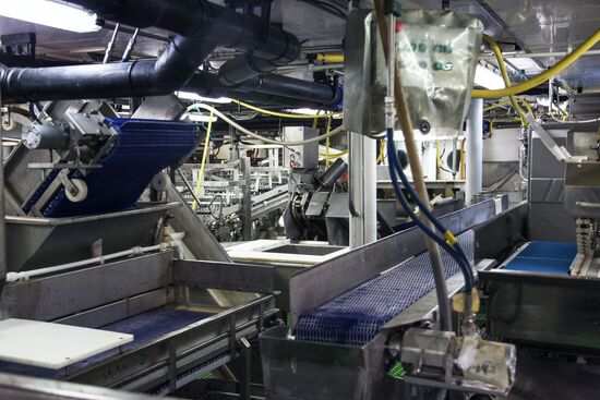 Прибытие судна с грузом креветок в порт Мурманска