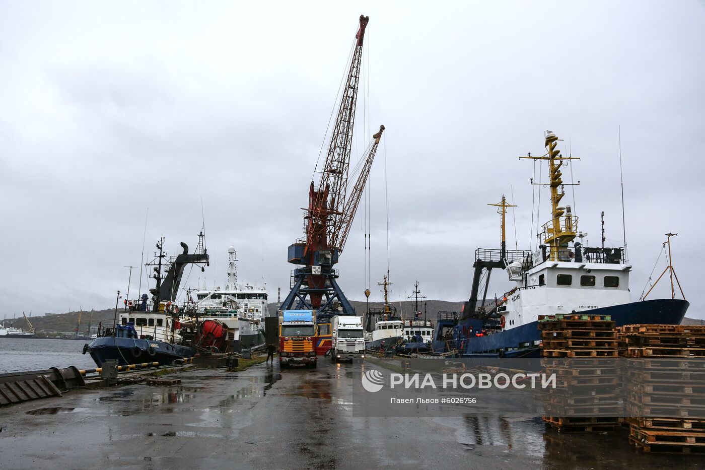 Прибытие судна с грузом креветок в порт Мурманска