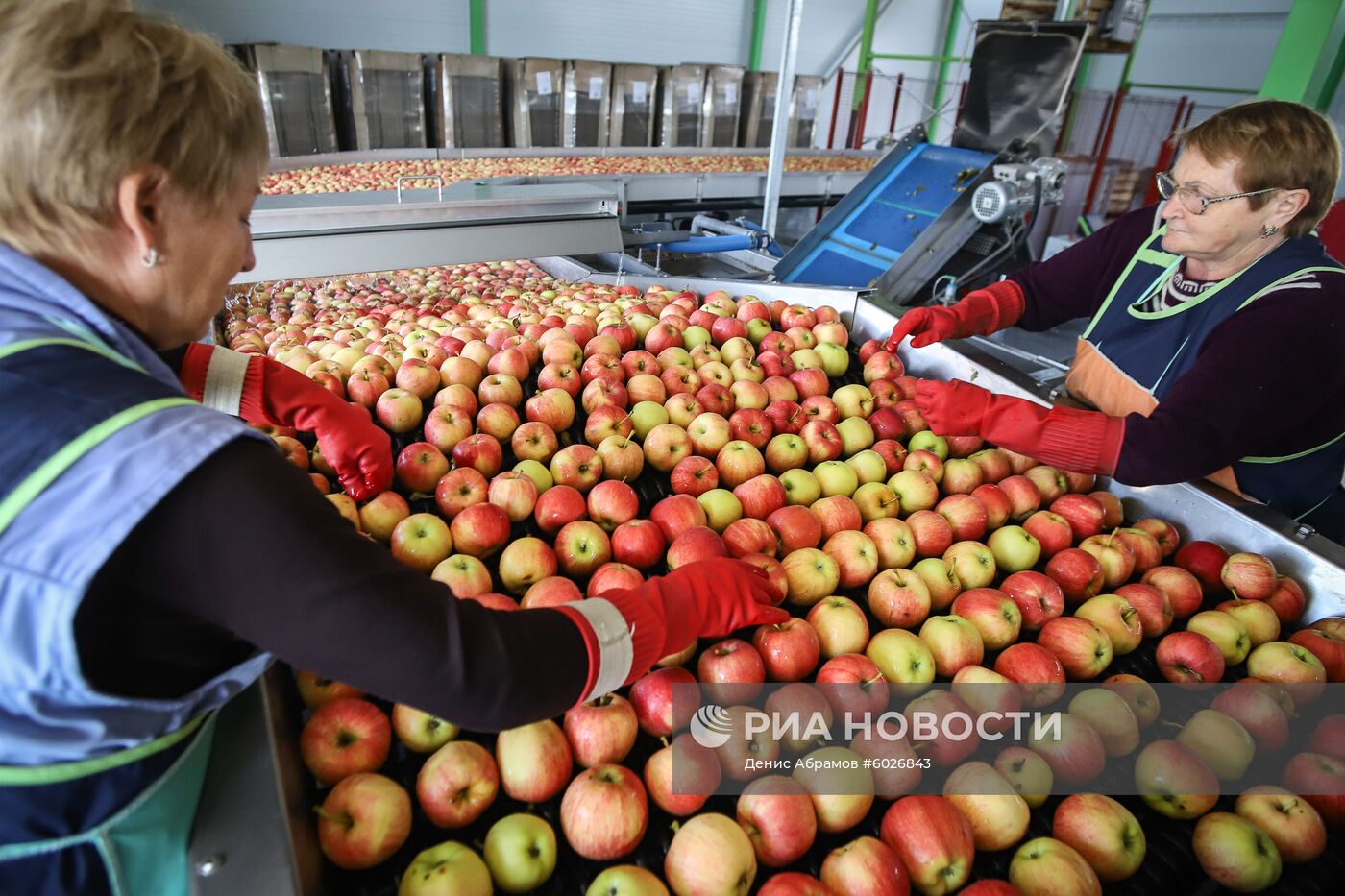 Плодообъединение "Сады Ставрополья"