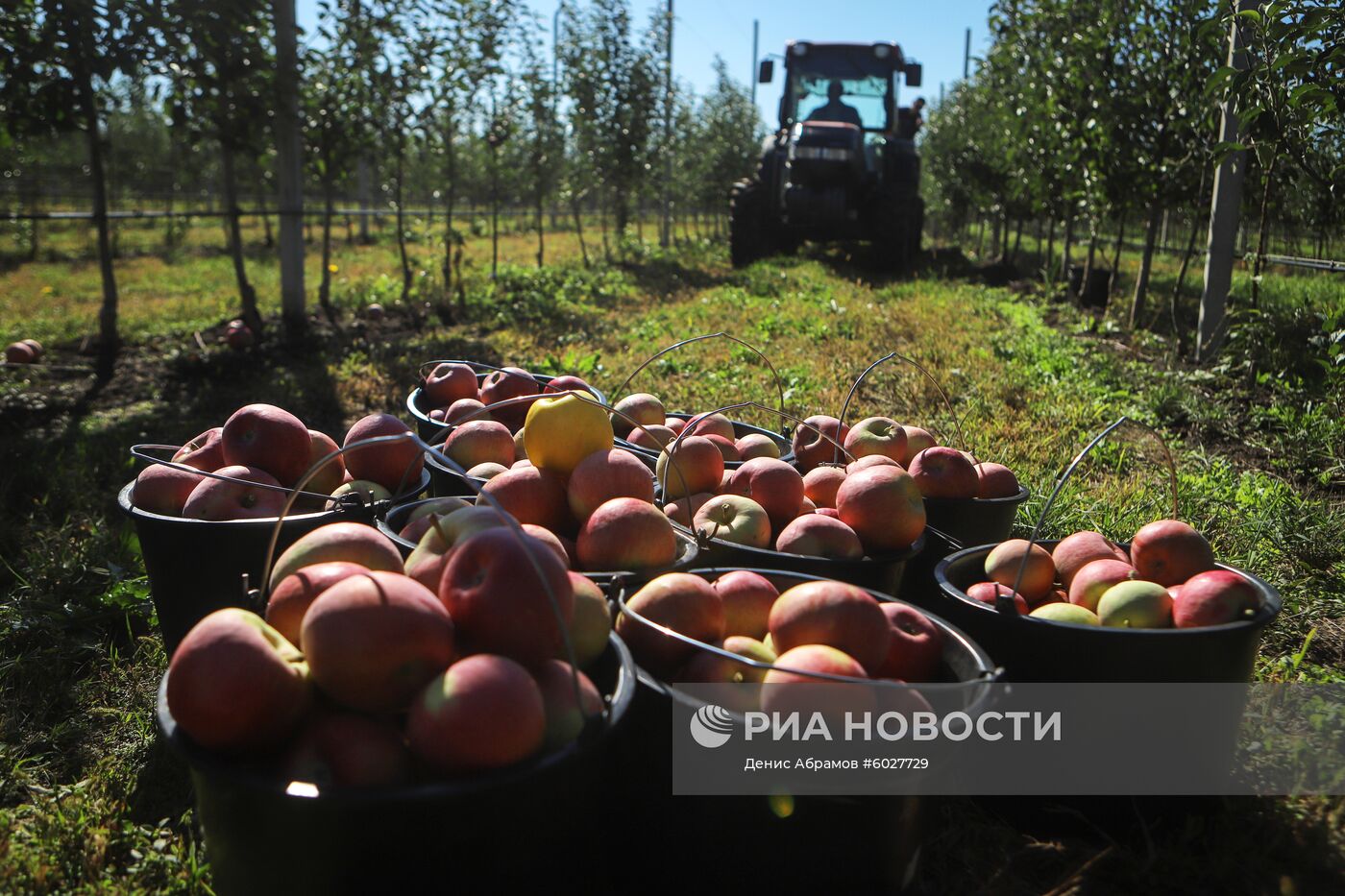 Плодообъединение "Сады Ставрополья"